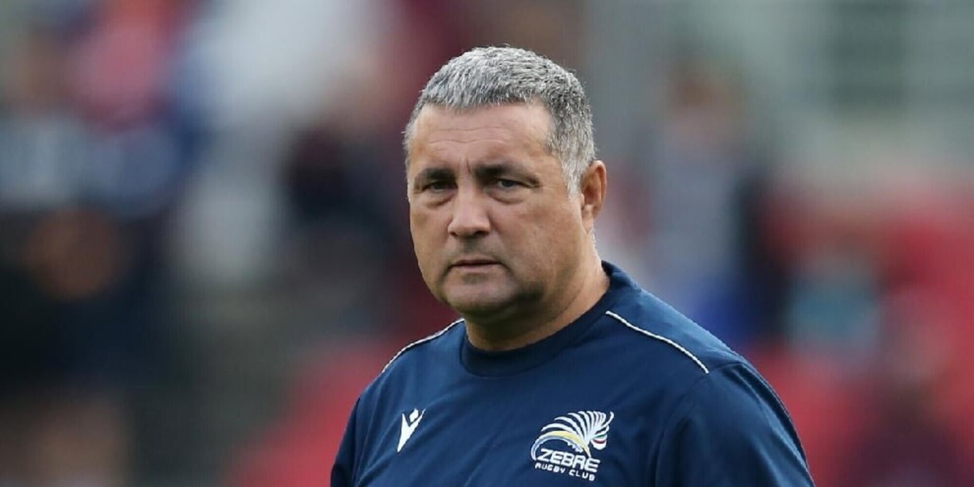 Zebre, Bradley eletto "allenatore della stagione" in Pro14