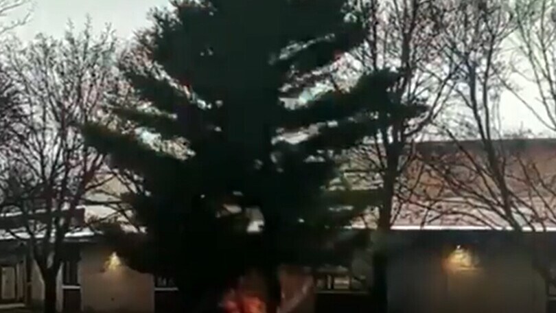 Il fulmine colpisce in pieno l'albero e lo disintegra