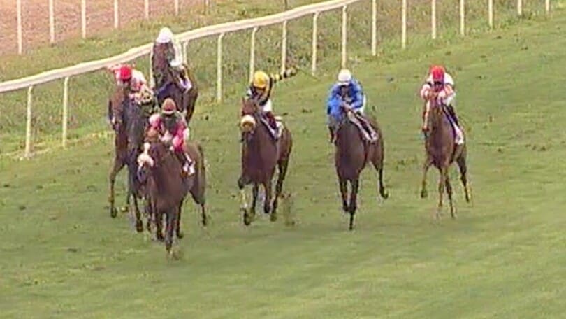 Premio Signorino all'Ippodromo Capannelle di Roma