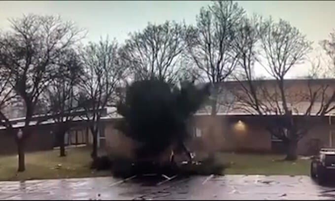 L’albero in balìa del fulmine: prende fuoco in un istante!
