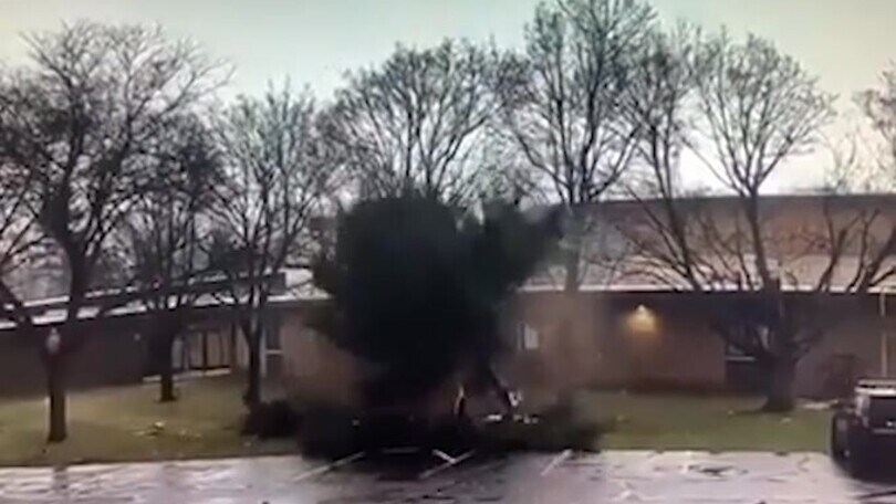 L’albero in balìa del fulmine: prende fuoco in un istante!