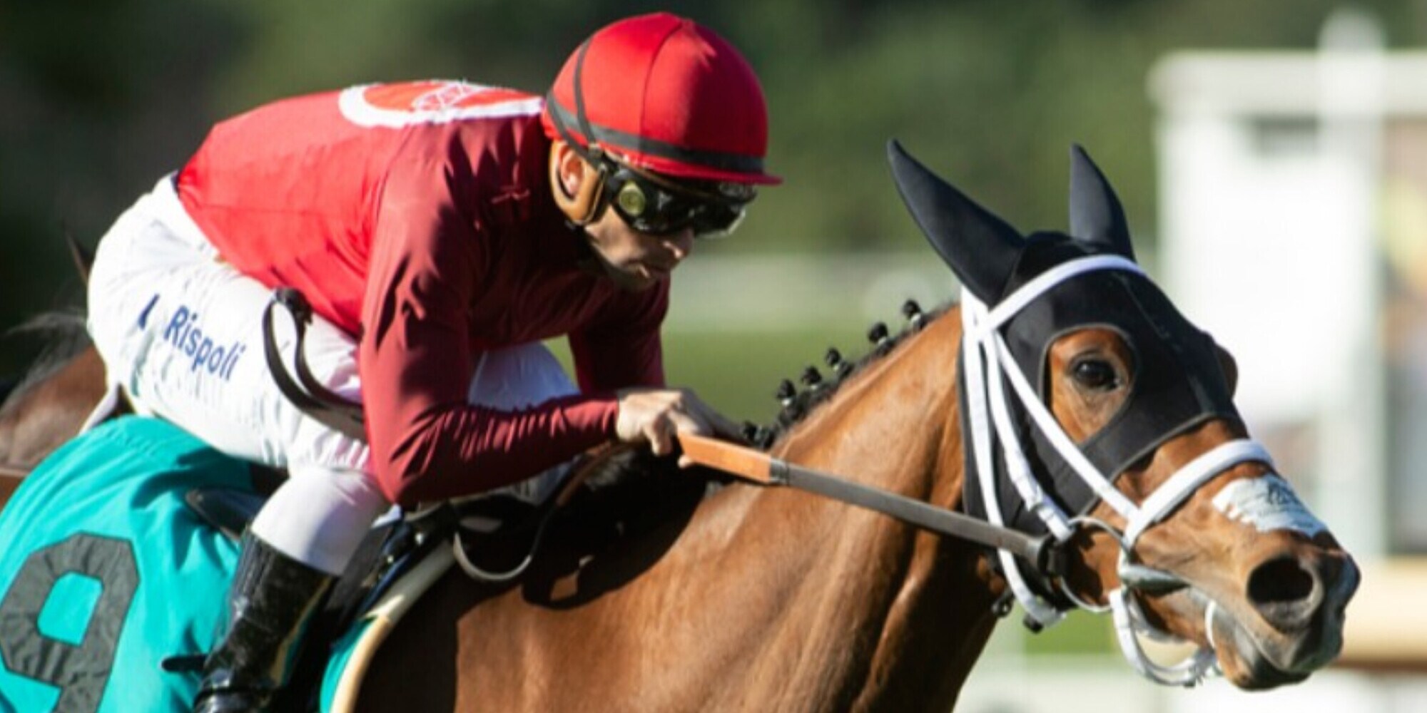 Rispoli, comunque Kentucky