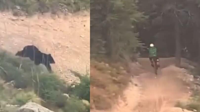 Inseguito da un orso: biker in fuga tra le montagne!