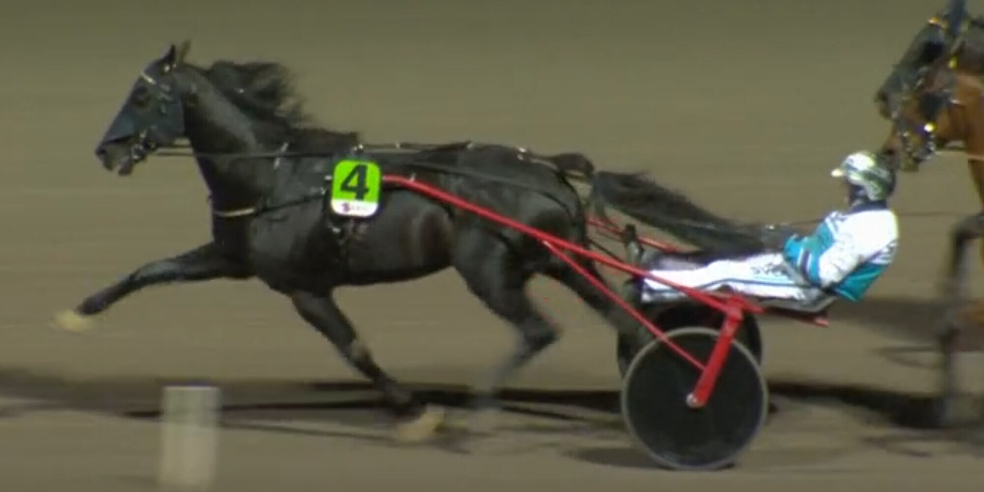 Doppietta "gialla” a Solvalla