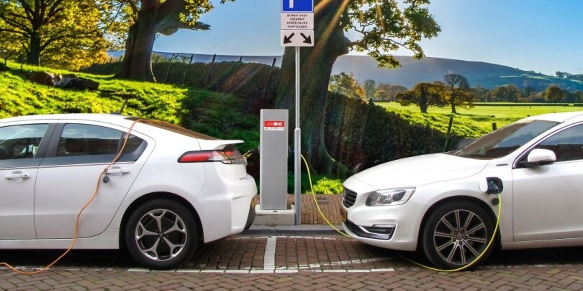 Auto elettriche: ecco quanto costano i dispositivi di ricarica agli automobilisti