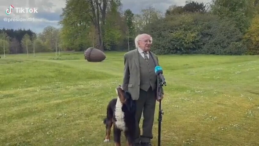 Irlanda, il presidente è in diretta tv ma il suo cane vuole solo… tante coccole!
