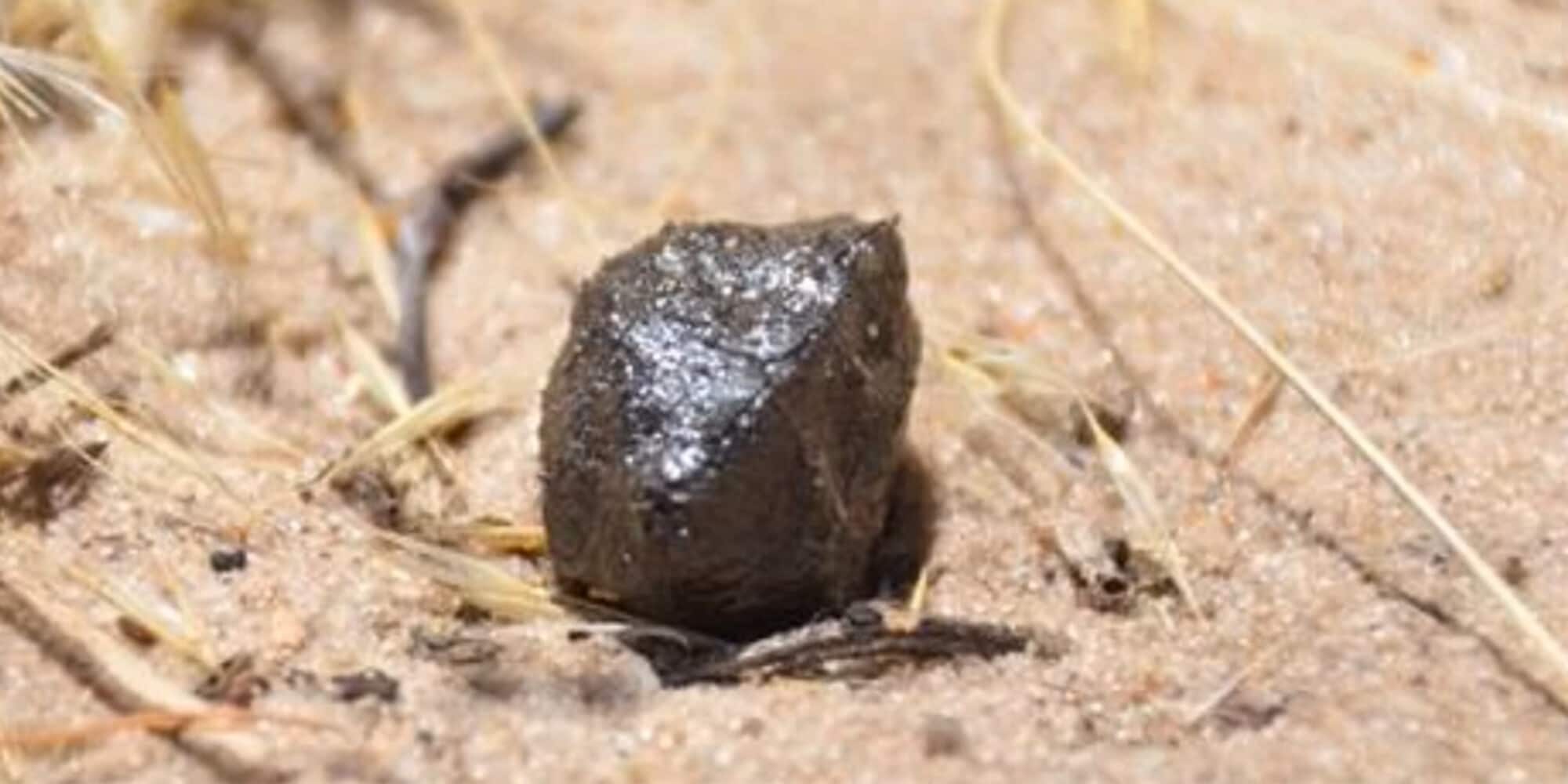 Il mistero del meteorite nero caduto in Botswana