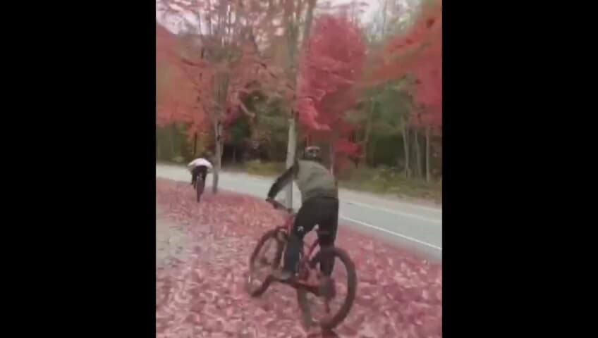Slalom in bici: la caduta è terrificante!