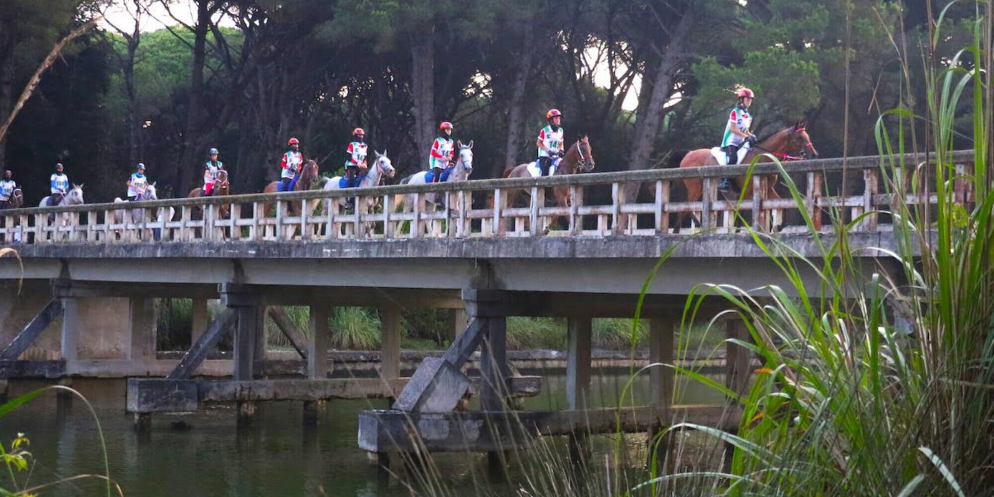 Endurance: Mondiale a 5 stelle