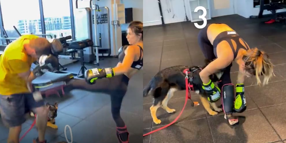 Elisabetta Canalis, il calcio stavolta fa male VIDEO