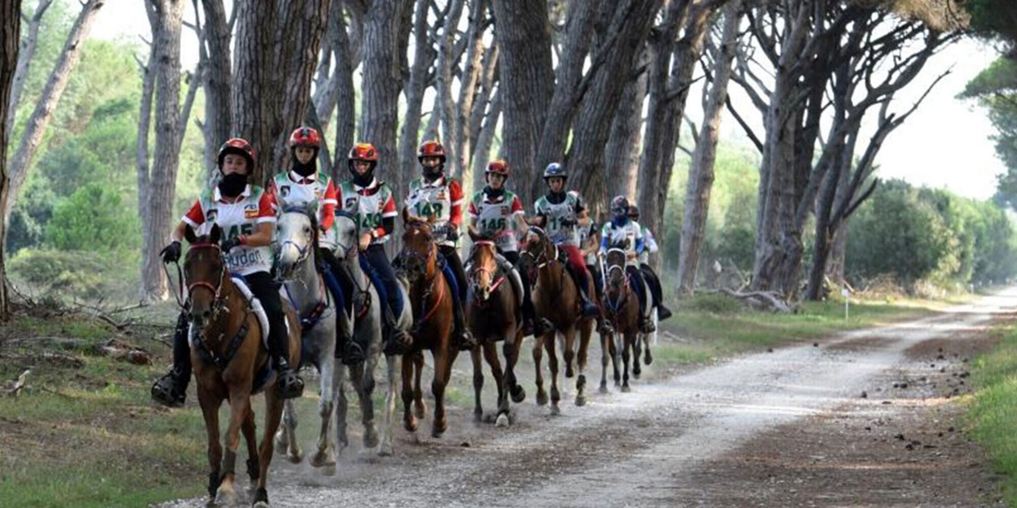 Endurance, sfida in famiglia