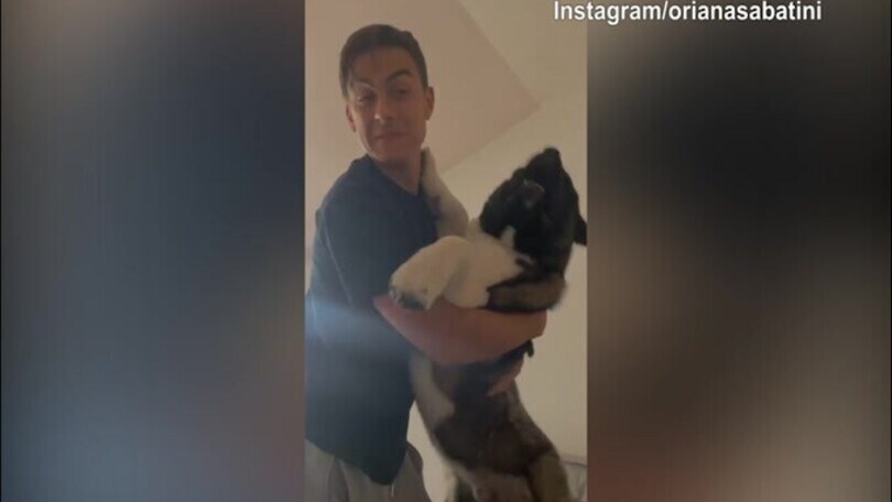 Dybala, quanto amore per i suoi cani