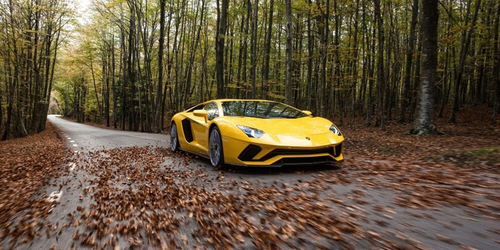 Digiuna per chiedere una Lamborghini a Dio: finisce in fin di vita