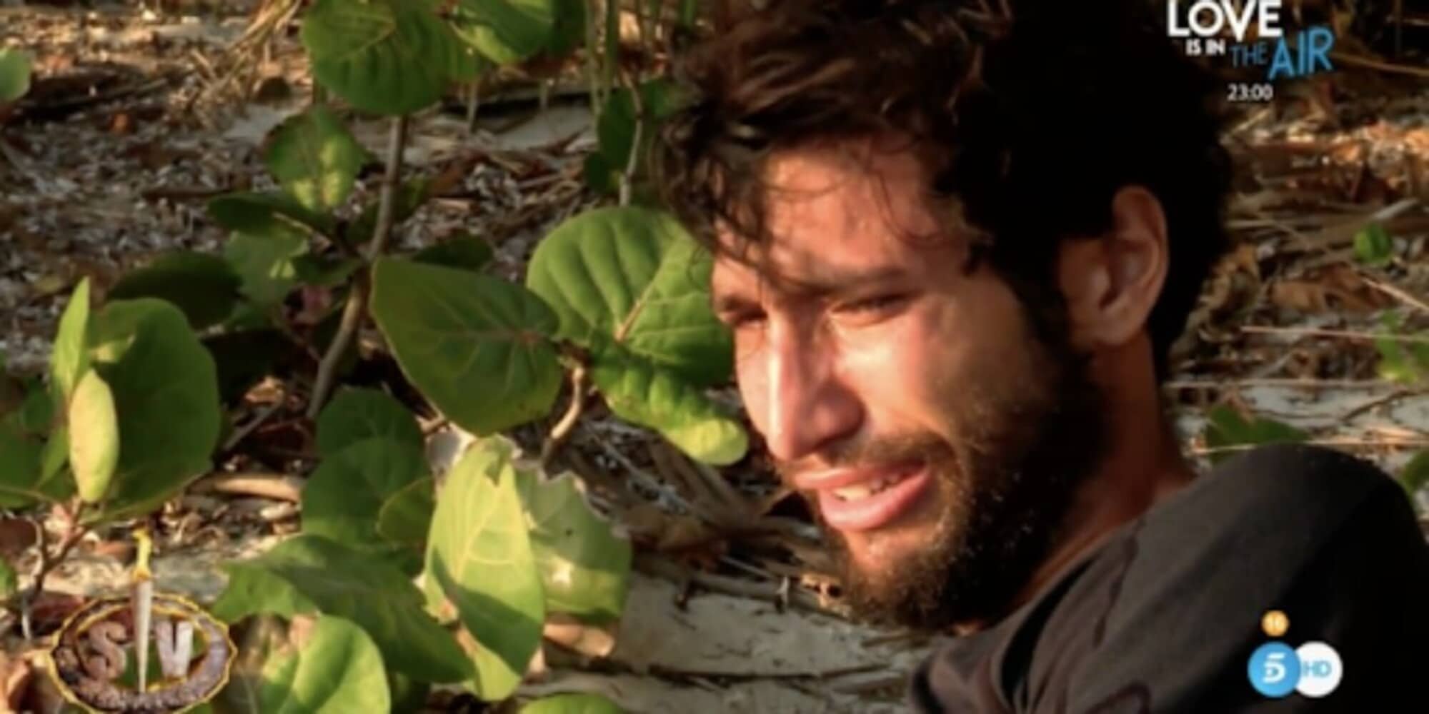 Paura all'Isola dei Famosi: Onestini punto da un ragno velenoso