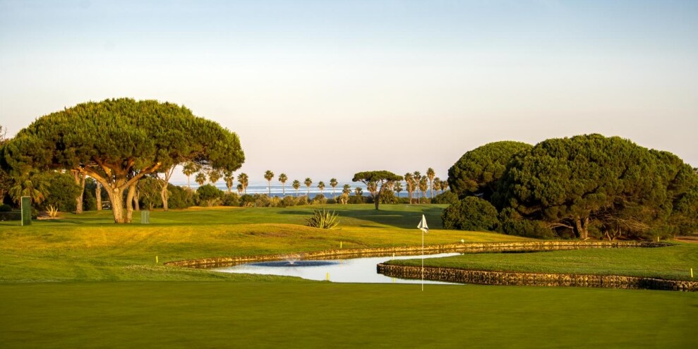 Golf, Palmetto Championship: Roach vola, Johnson è 2°