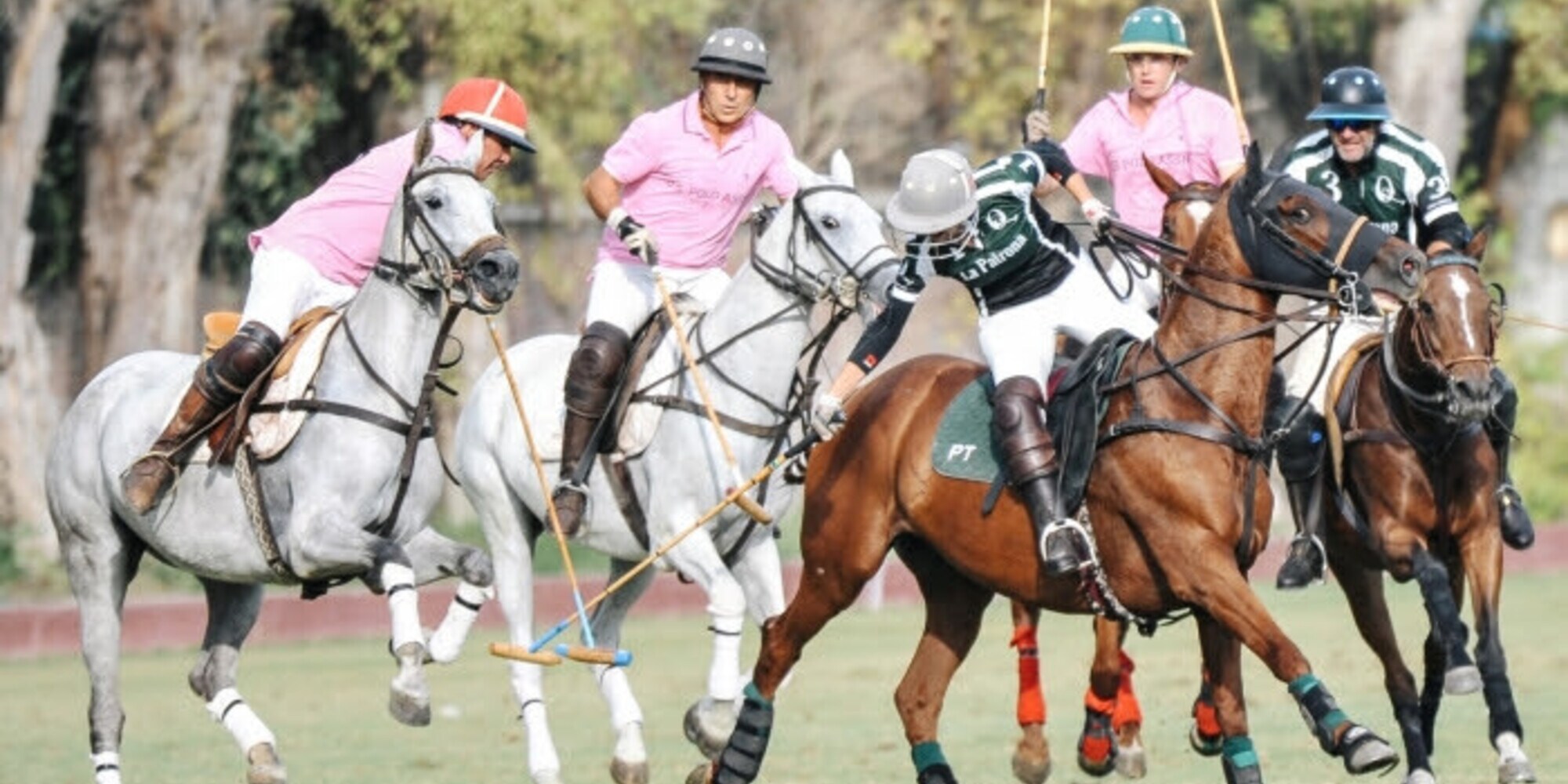 Polo per tre anni in Sardegna
