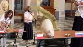 Euro 2020, primo flop per Achille