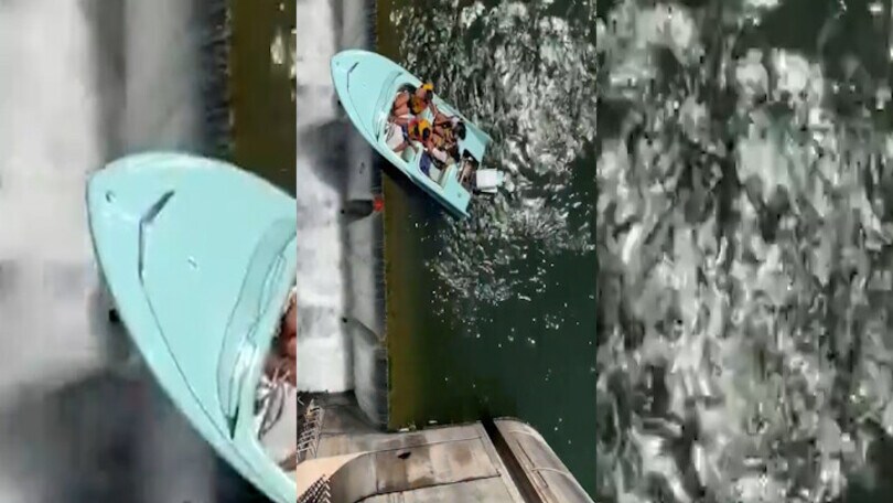 Barca in bilico sulla diga: il video del salvataggio è sensazionale