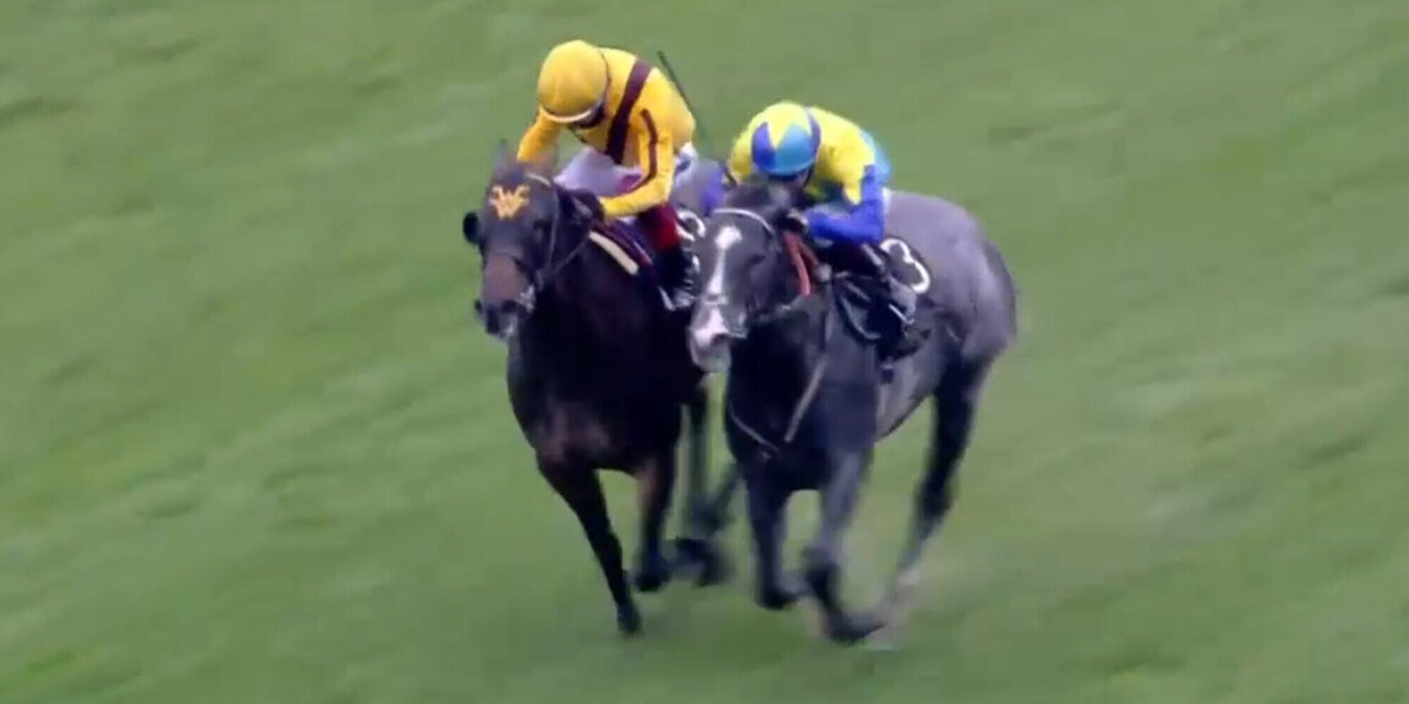 Suona la Campanelle per Dettori