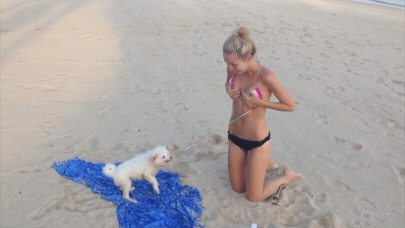 Cagnolino dispettoso: tira i lacci del costume del bikini e…