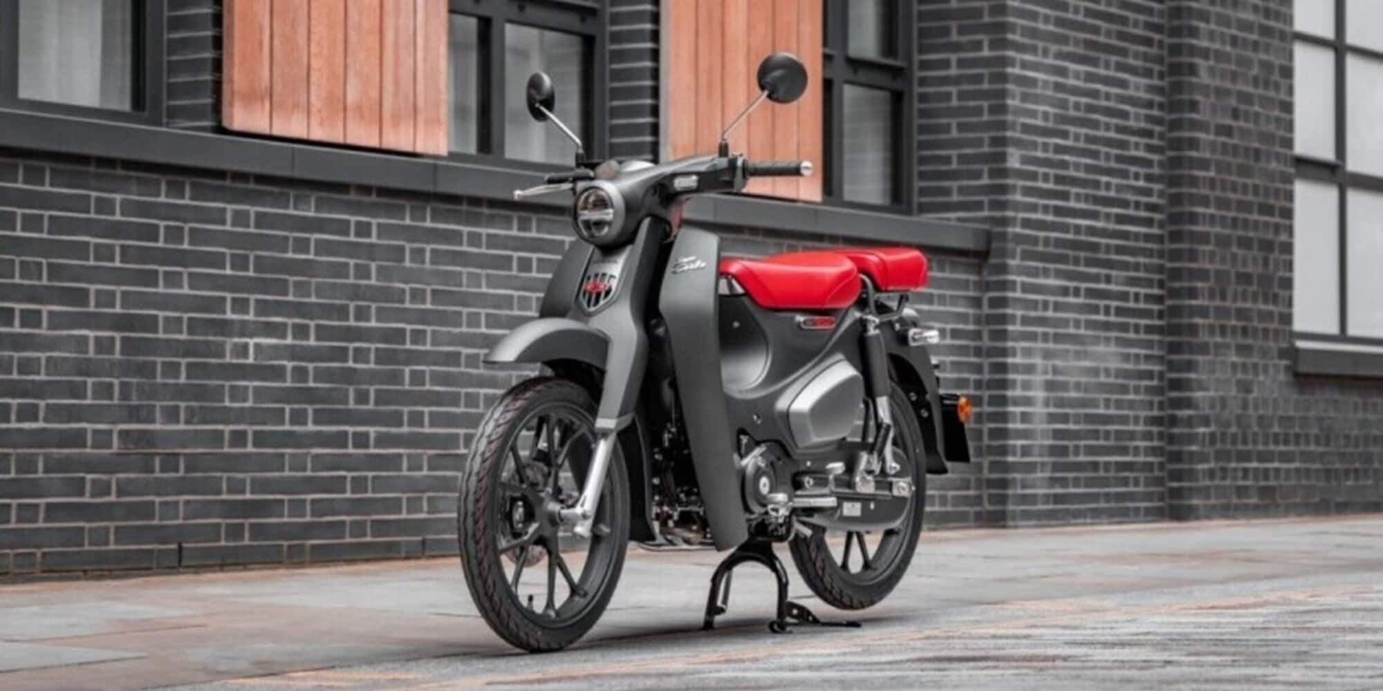 Honda Super Cub C125 MY 2022: l'aggiornamento dell'icona