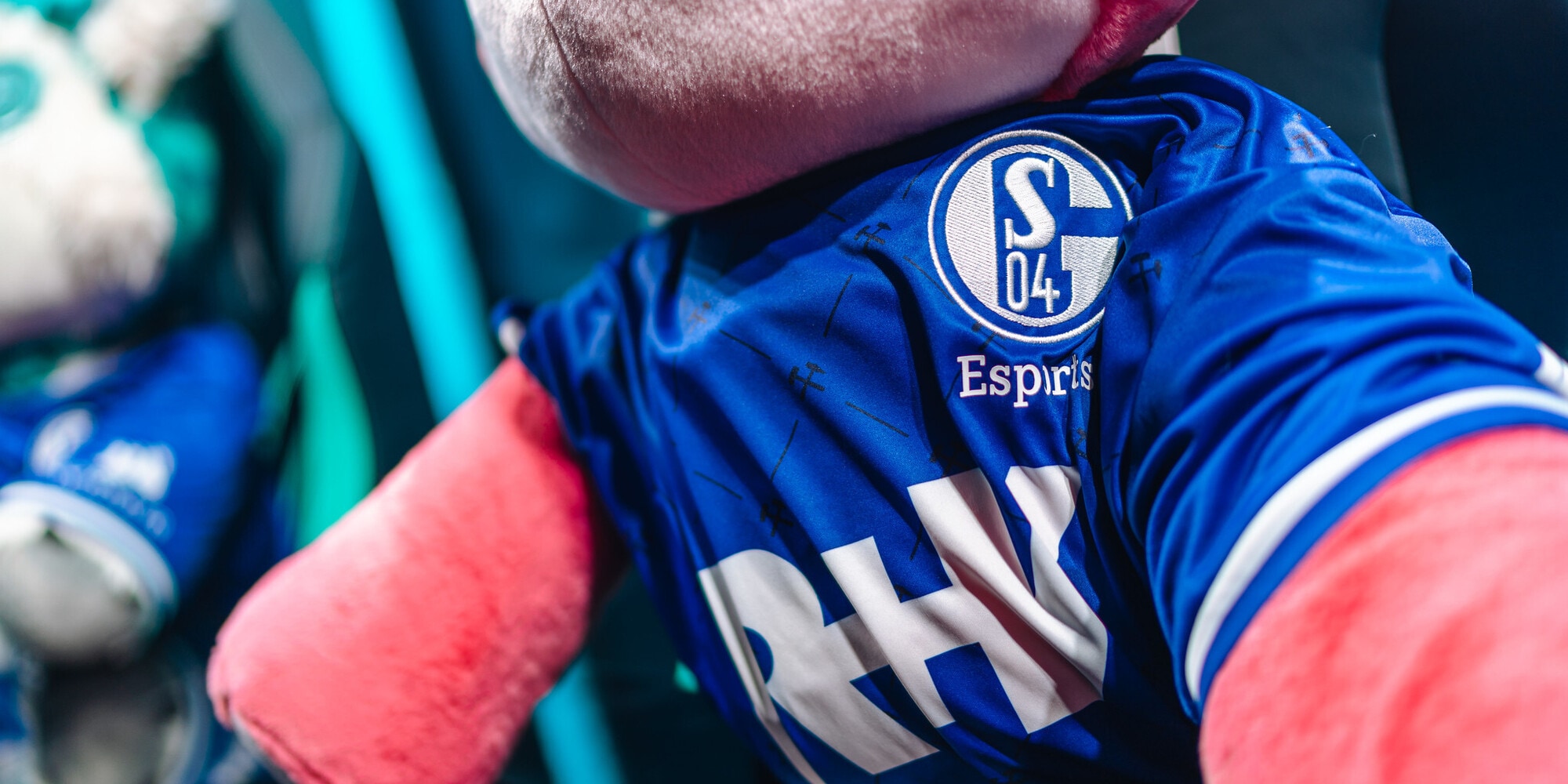Schalke04: venduto lo slot nel Lec per 26,5 milioni €