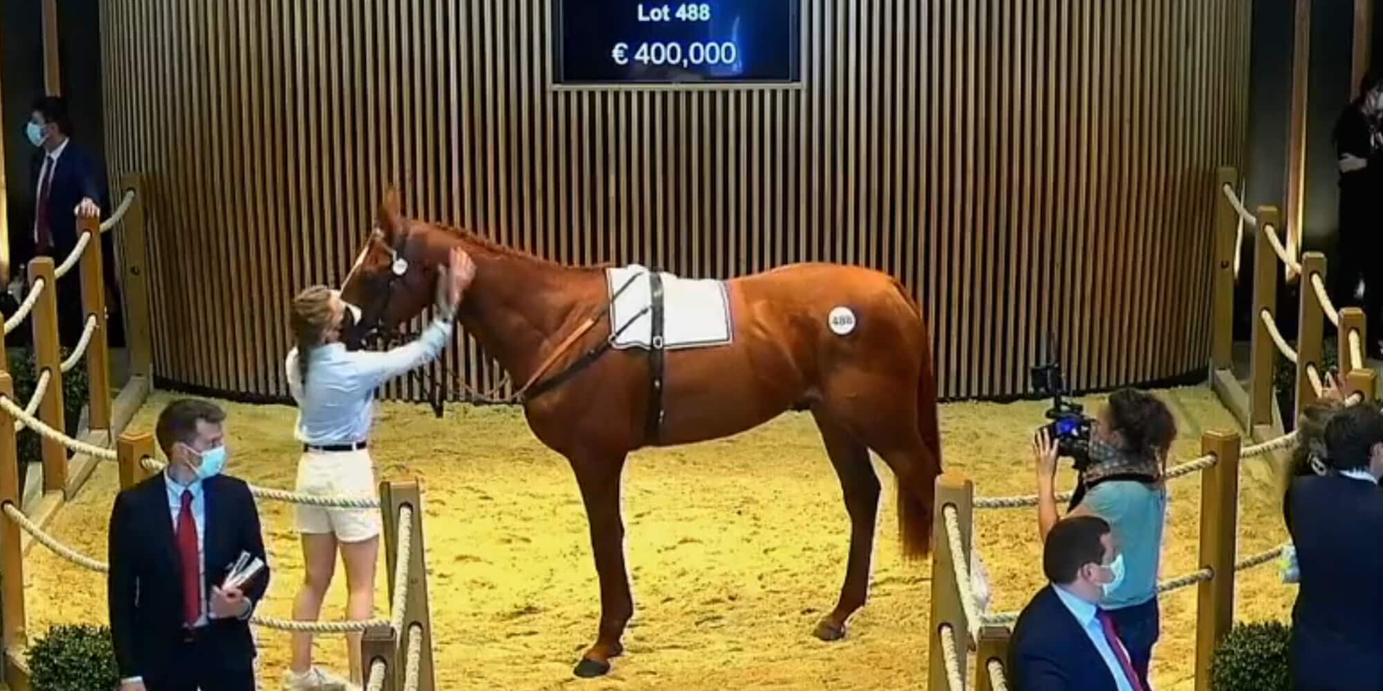 Juan de Montalban, che top price!