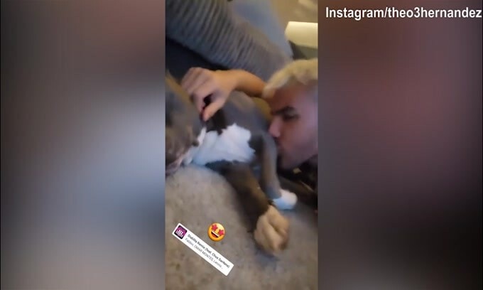 Theo Hernandez, quante leccate dal suo cane
