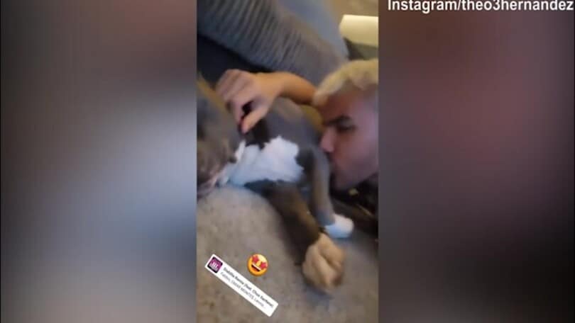 Theo Hernandez, quante leccate dal suo cane