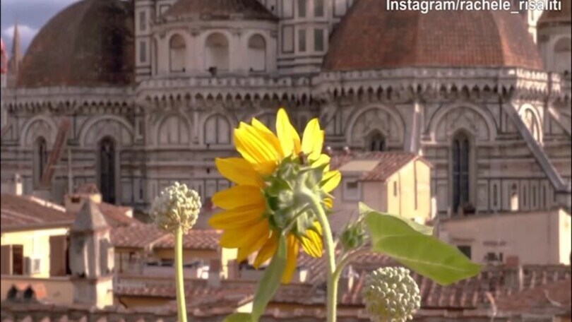 Castrovilli, che romanticismo! Ecco la proposta di matrimonio