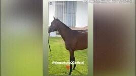 Vidal a Dubai con lo sceicco