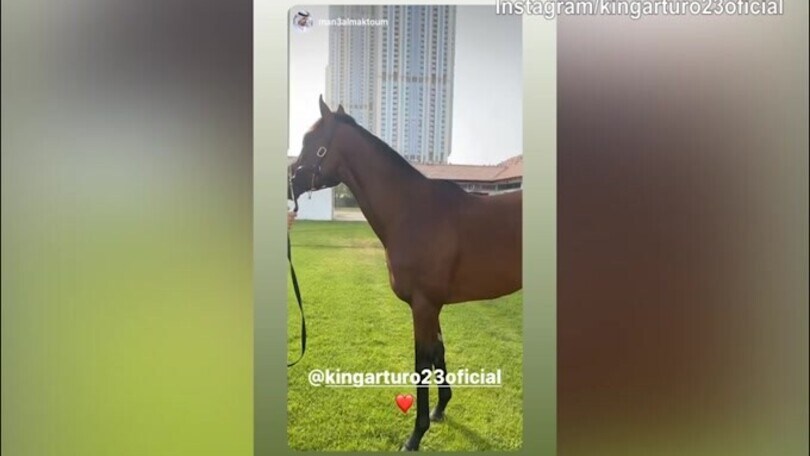 Vidal a Dubai con lo sceicco