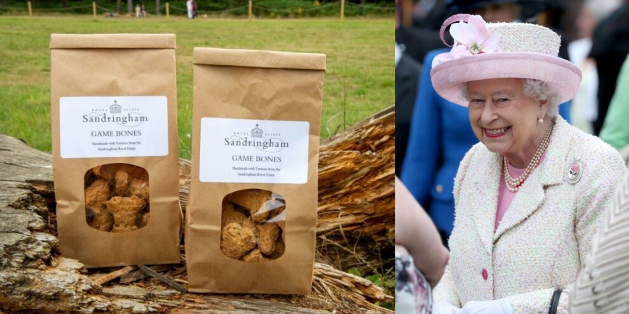 Regina Elisabetta lancia una linea di biscotti per cani