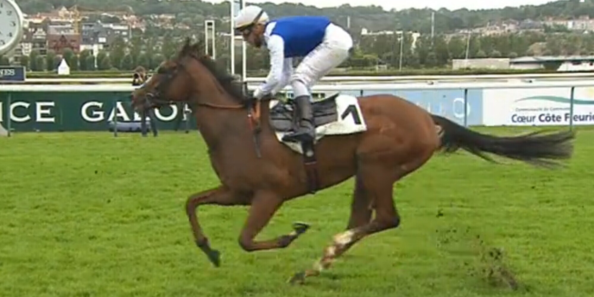 Royal Ashirah, un terzo che vale