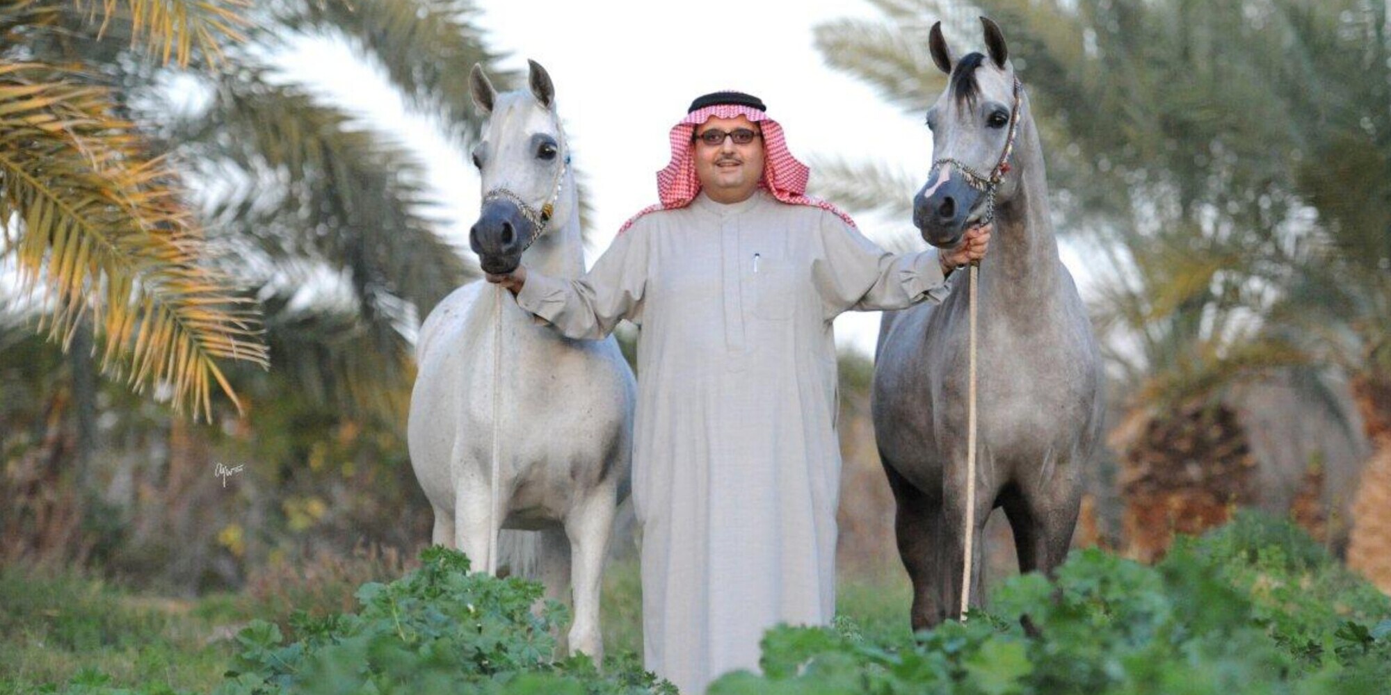 Athbah rilancia sull'Italia
