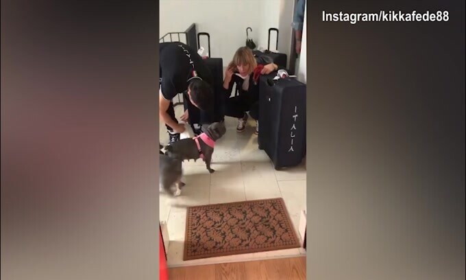 Federica Pellegrini torna a casa, parte la festa dei suoi cani!