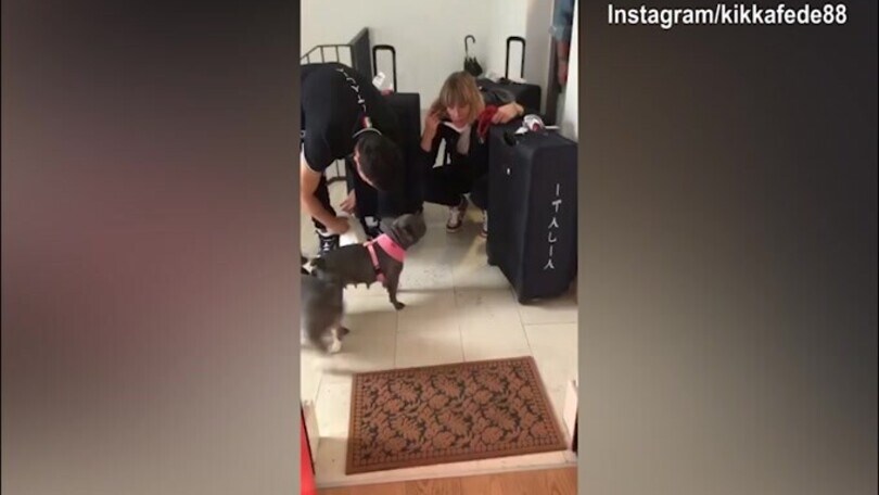 Federica Pellegrini torna a casa, parte la festa dei suoi cani!