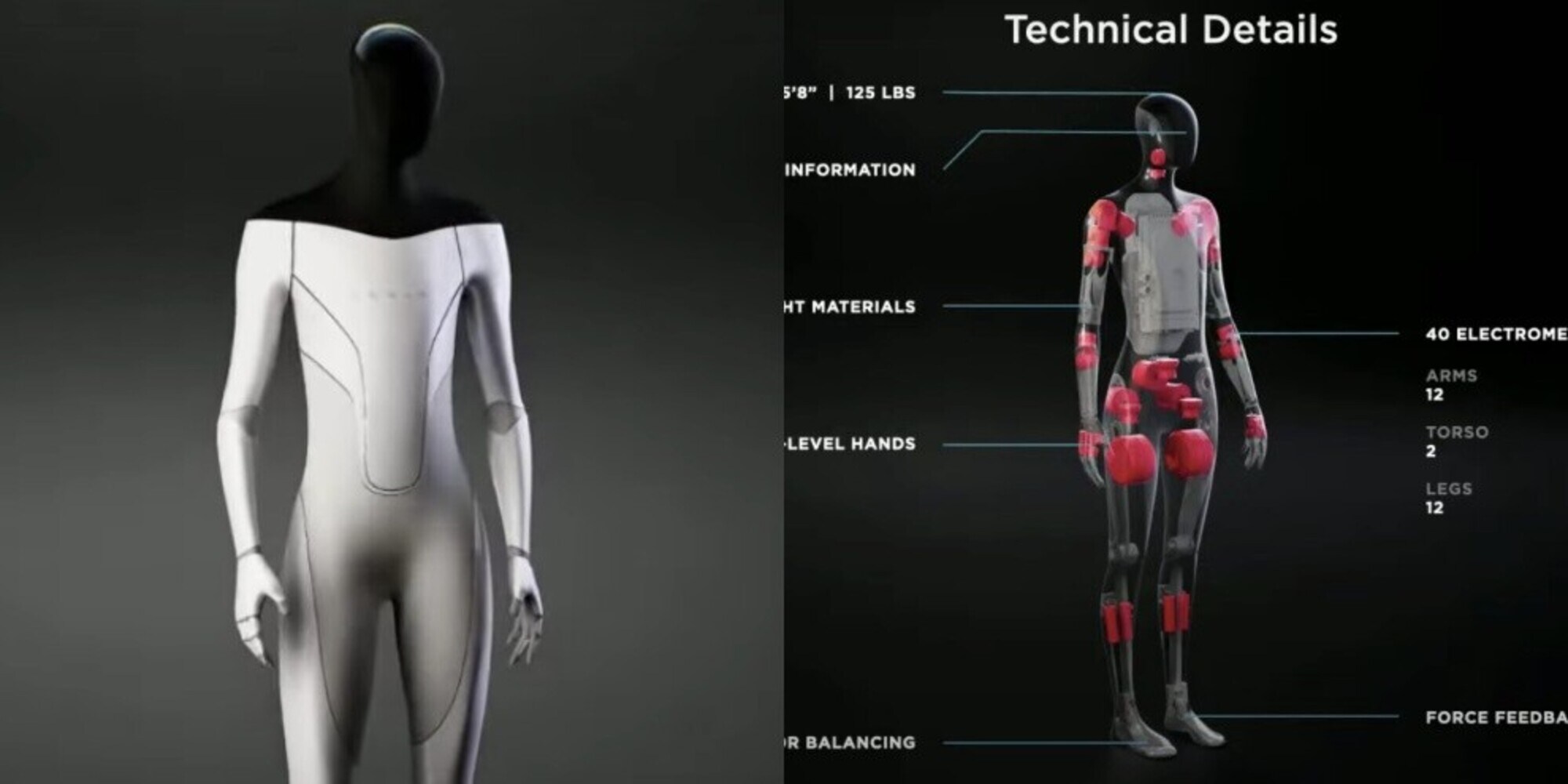 Tesla Bot: il robot umanoide sarà realtà FOTO