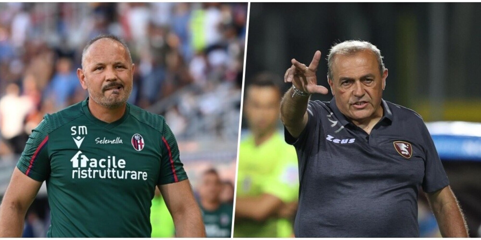 Diretta Bologna-Salernitana ore 18.30: formazioni ufficiali, come vederla in tv e in streaming