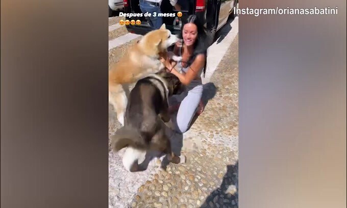Oriana Sabatini riabbraccia i suoi cani dopo 3 mesi