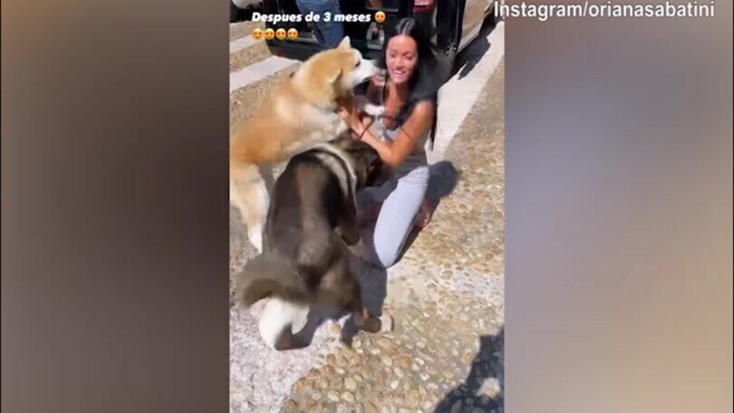 Oriana Sabatini riabbraccia i suoi cani dopo 3 mesi