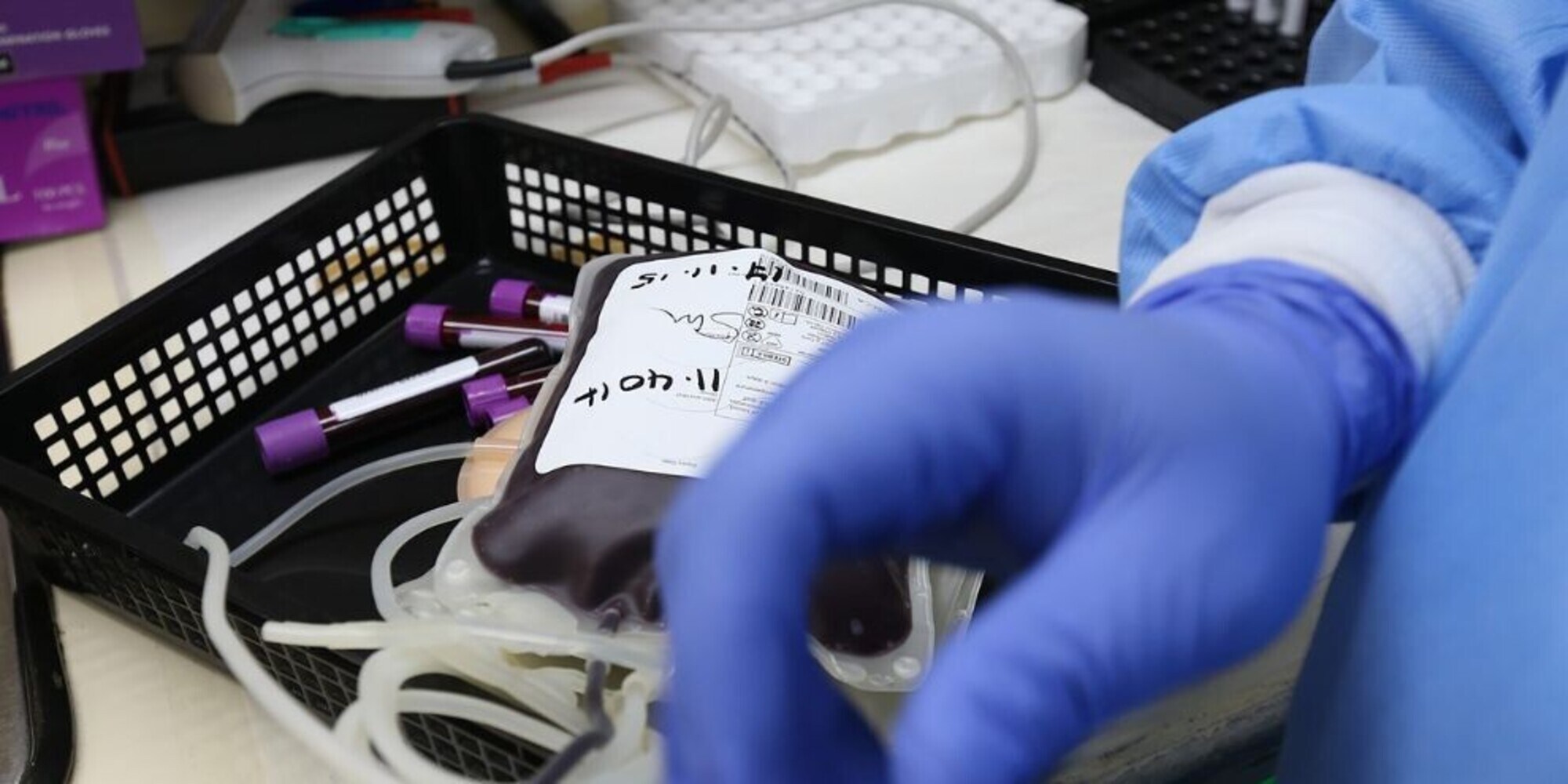 Covid, rifiutano il sangue di un vaccinato per il padre anziano