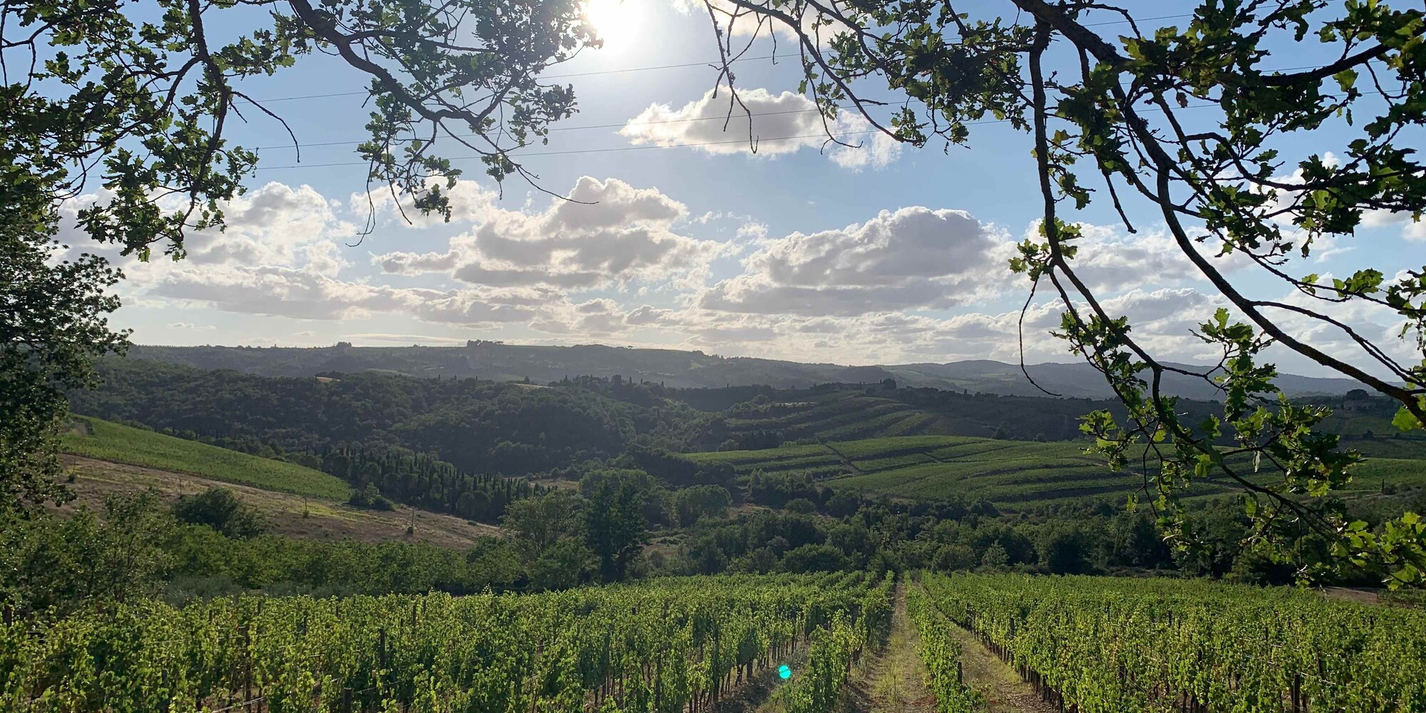 Si corre in un paradiso con i nuovi percorsi della 14^ EcoMaratona del Chianti Classico. Al via il 17 ottobre