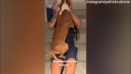 Empoli, Cutrone riabbraccia il suo cane