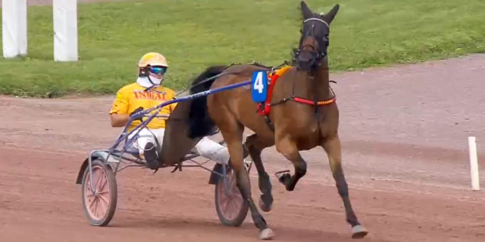 Derby e Oaks, ecco le classifiche