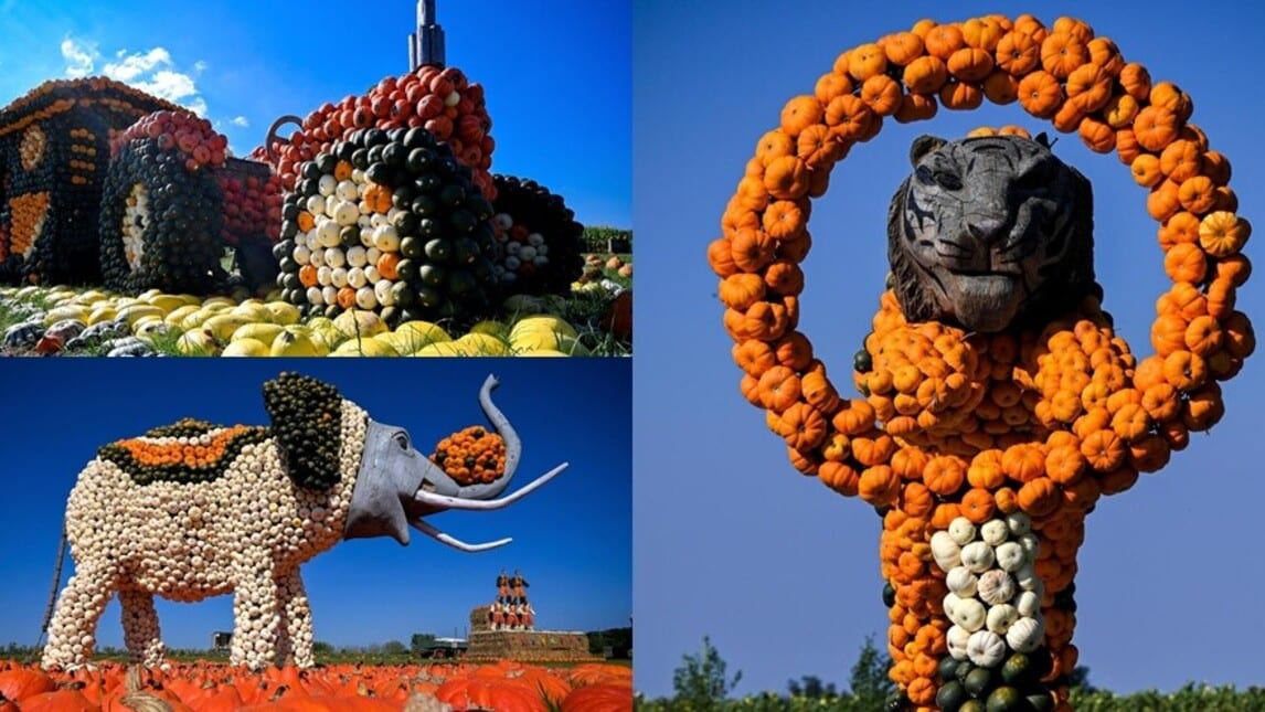 La Germania va "fuori di zucca": le straordinarie sculture