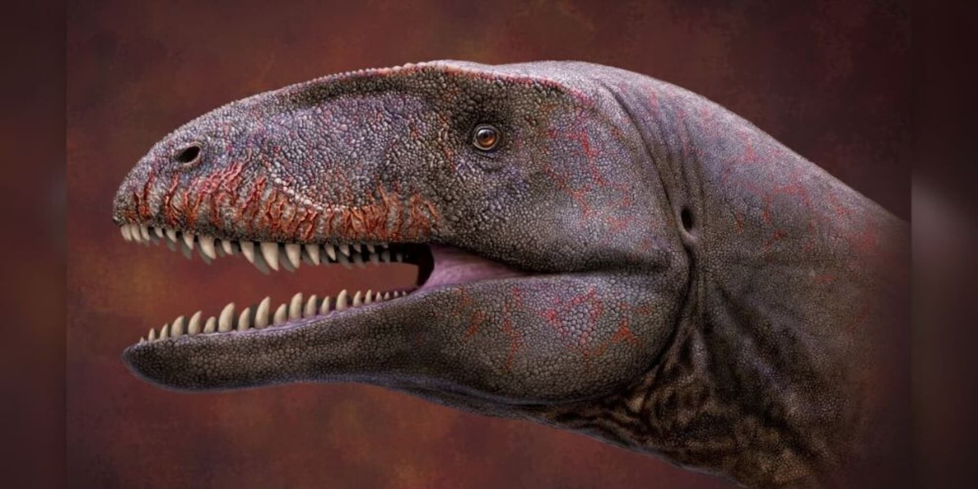 Scoperto in Uzbekistan enorme dinosauro dai denti di squalo