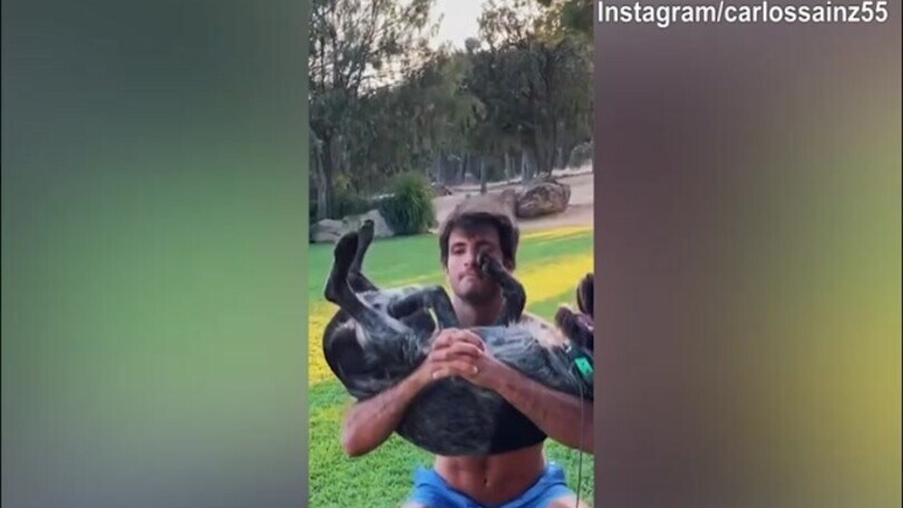 Allenamento speciale per Sainz: solleva il...cane!