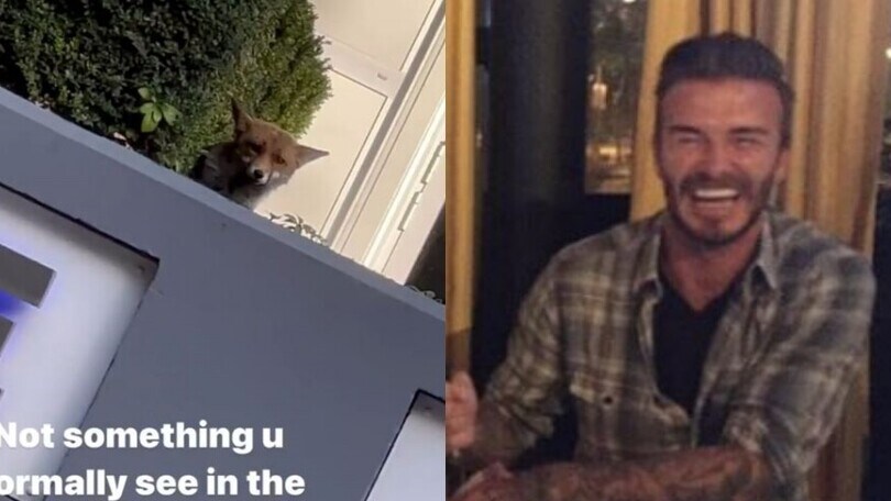 Roma ha il toro? E Londra rilancia così: il video di David Beckham