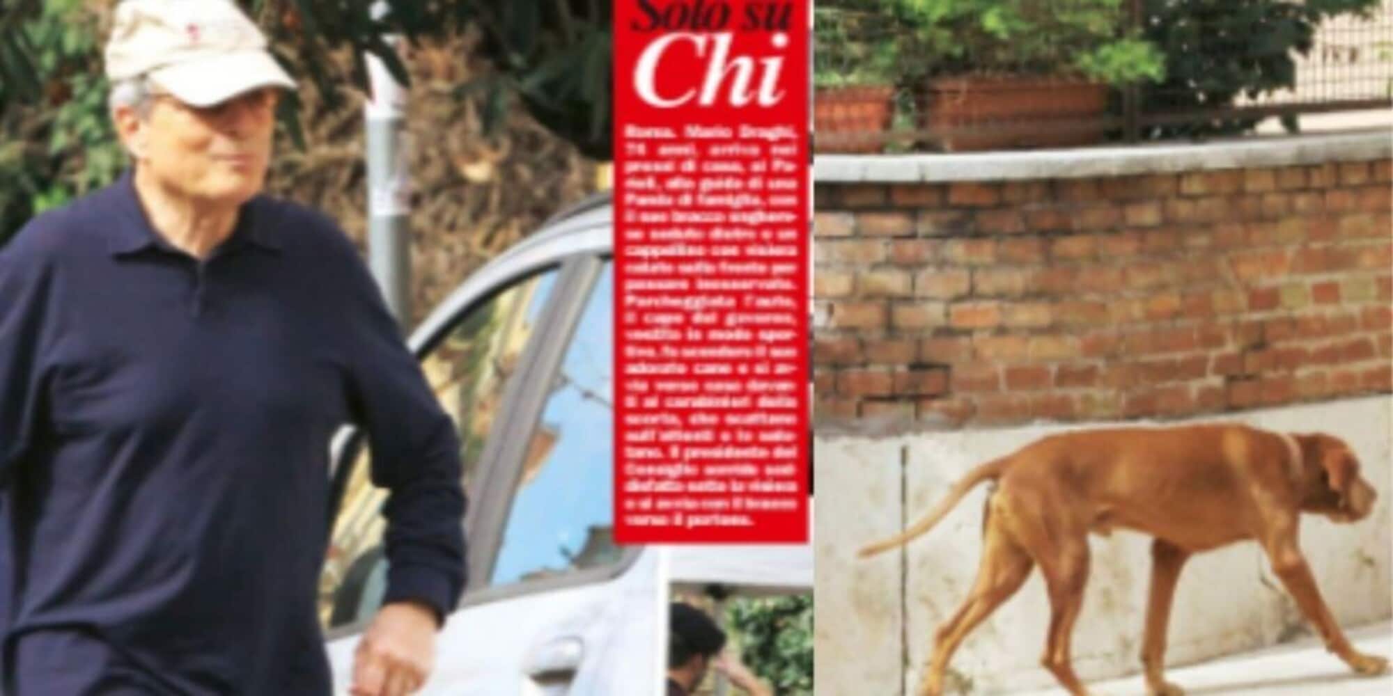 Come si chiama il cane del premier Draghi